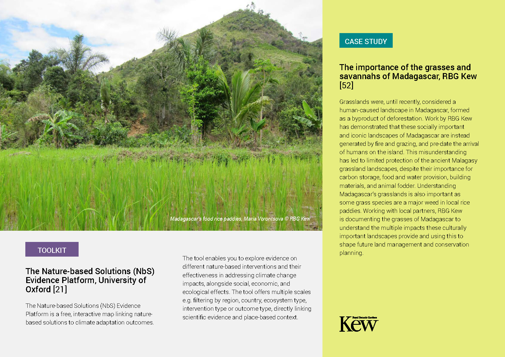 Ten Guiding Principles for Investing in Nature_Final_Page_08